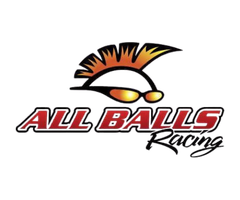 logo firmy all balls racing